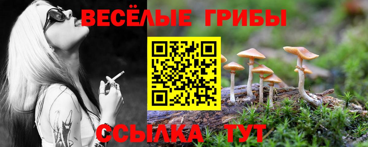 наркошоп  Вход с VPN  Ялта  Псилоцибиновые грибы Magic Shrooms  Псилоцибиновые грибы Magic Shrooms 